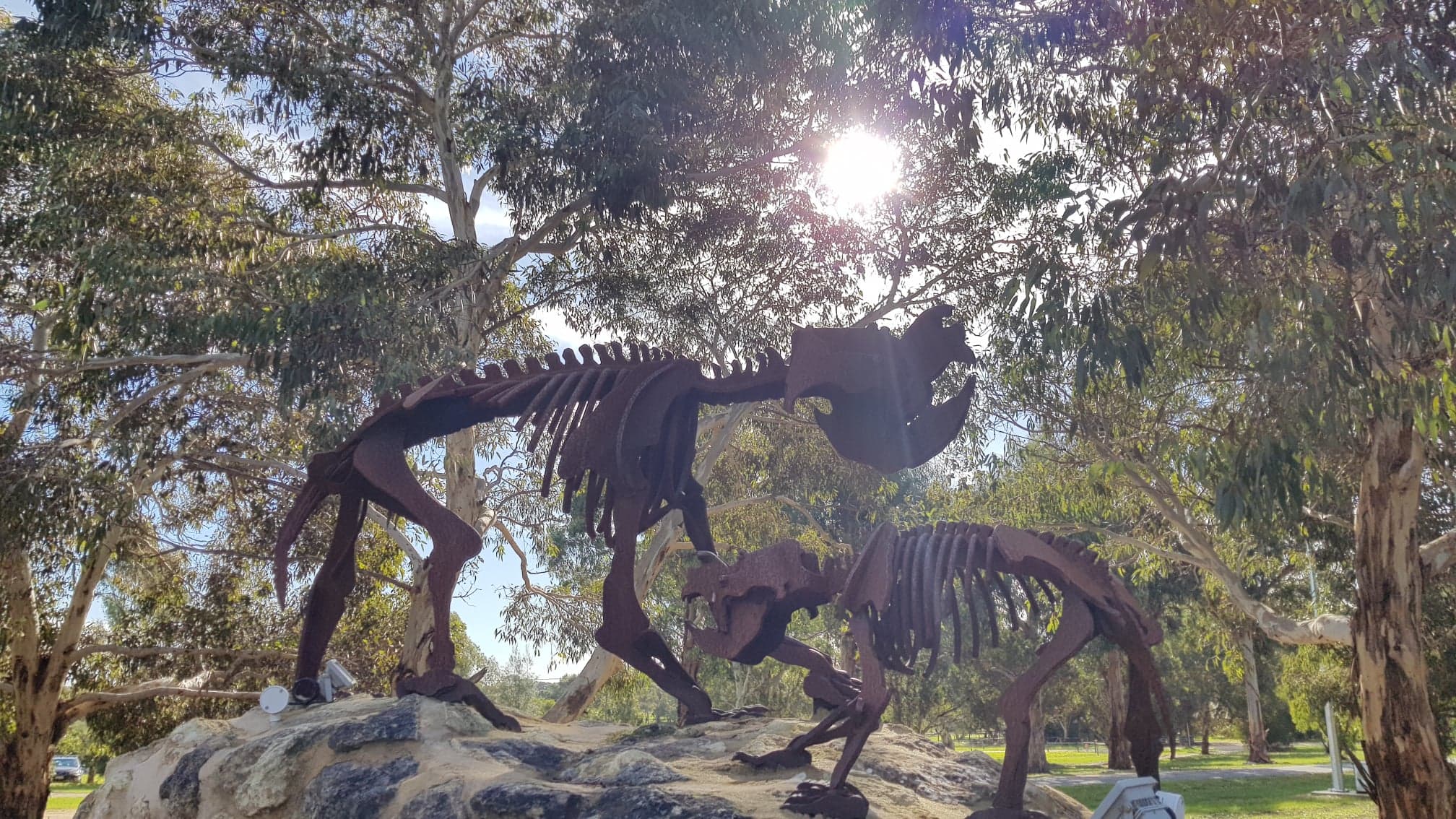 Dr. Aaron Camens Palaeontologist, Flinders University
