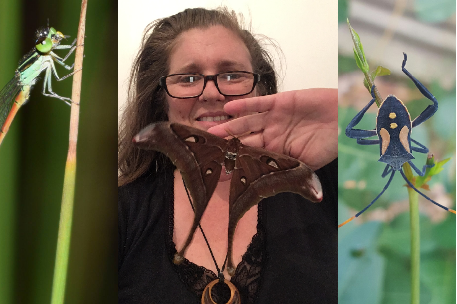 Kristen Messenger, Bugs n Slugs Australia