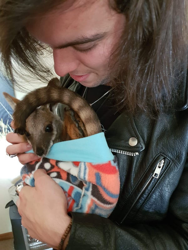 Dan Mangano | Zoologist , Rockstar