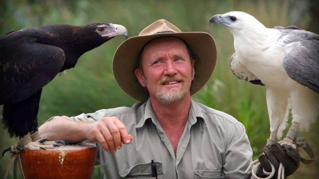 Dave Irwin | Raptor Domain
