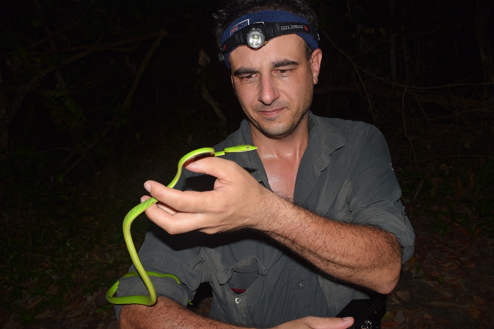 Mark Hura | Entomologist