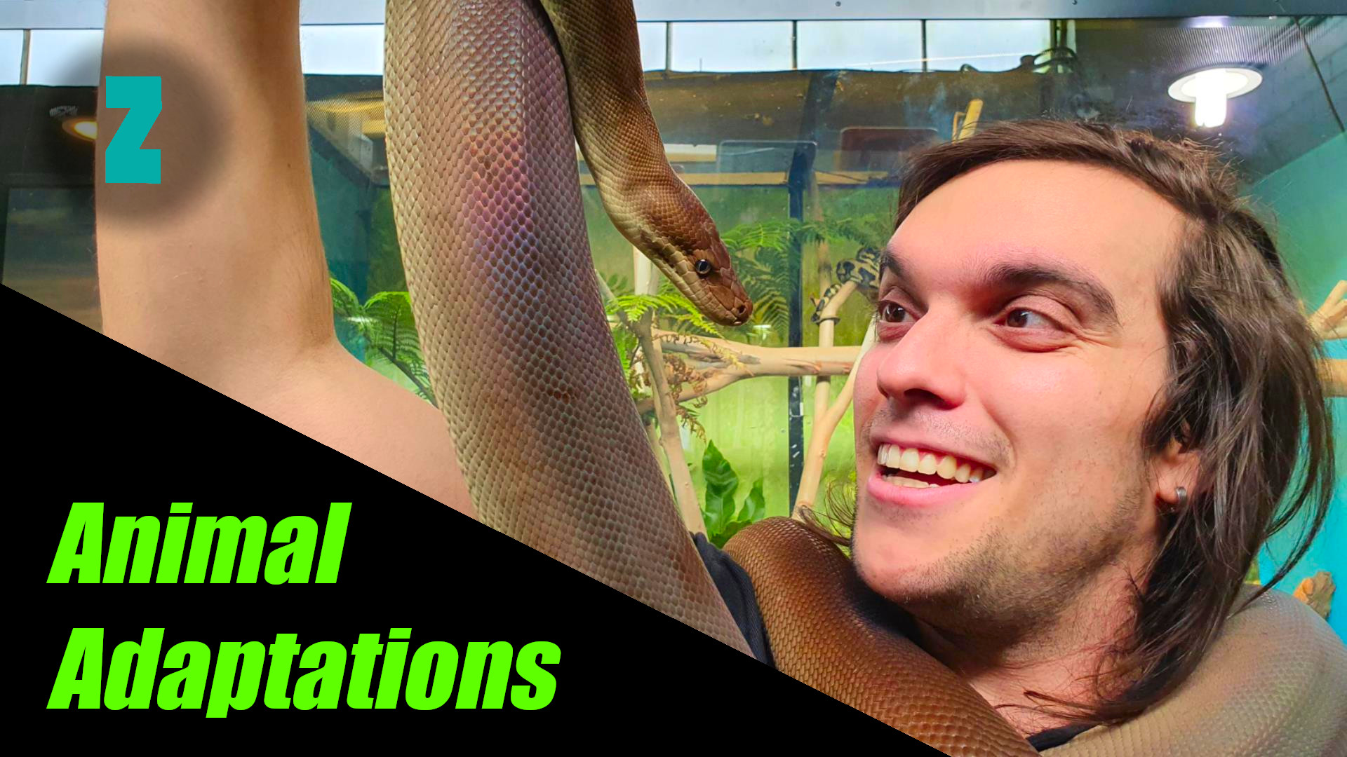 Adaptations with Dan