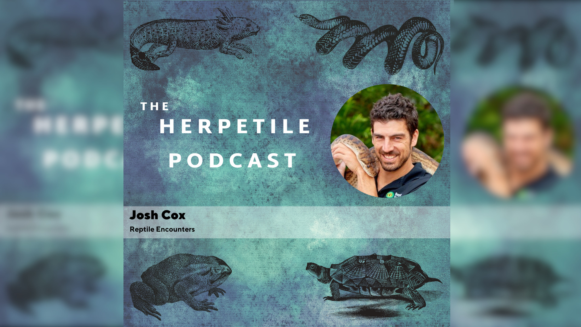 Herpetile Podcast